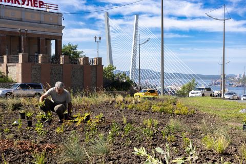 Клумба в районе фуникулёра во Владивостоке засияет новыми красками