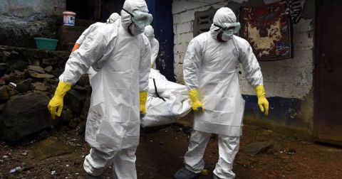 В Красноярском крае зафиксирована вспышка сибирской язвы