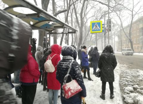 Владивостокцы готовят жалобу в прокуратуру на неудовлетворительную работу общественного транспорта