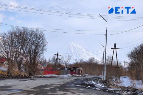 Автопарк правительства Камчатки переводят в режим социального такси