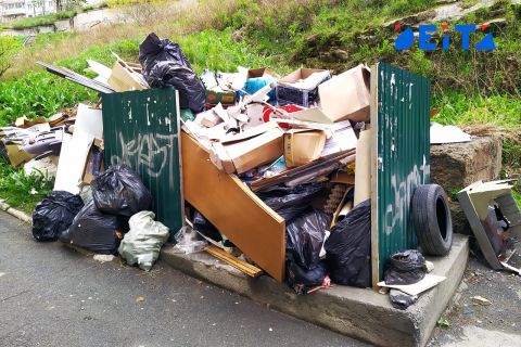 Жительницу Приморья оштрафовали за протест против "мусорной реформы"