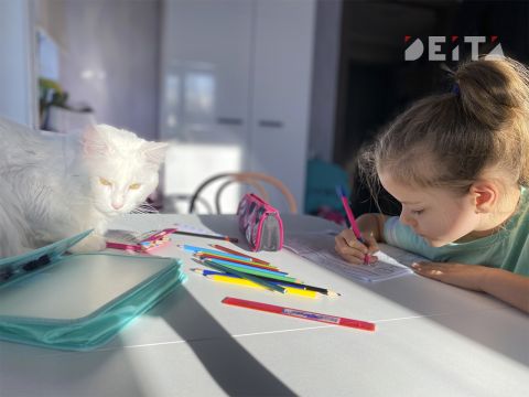 Сборы в школу или как разориться на форме и учебниках