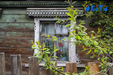 Земельный сертификат: как многодетным семьям оформить господдержку