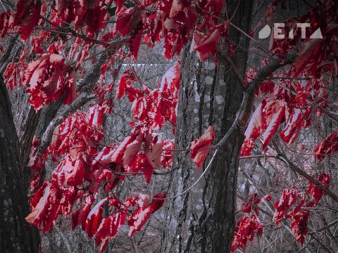 Октябрь и ноябрь будут аномальными: синоптики дали новый прогноз погоды