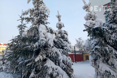 Морозная погода без осадков сохранится в Приморье в ближайшие сутки
