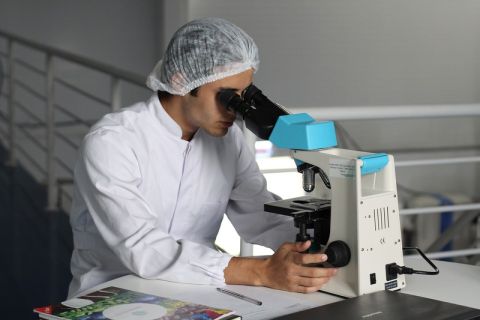 Половина зарплаты — оклад: медиков хотят перевести на новую систему оплаты