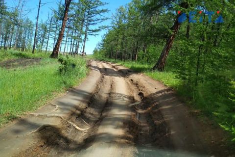 Три дела возбудила прокуратура Приморья в связи с разрушением дороги в Ильмовку