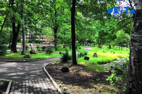 Атмосферная депрессия в Приморье пойдет на спад