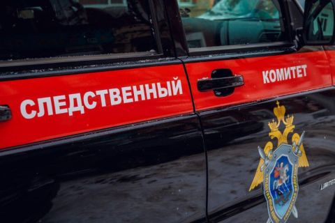 Улететь не получилось: в Пулково задержали главу по госзакупкам Петербурга за превышение полномочий