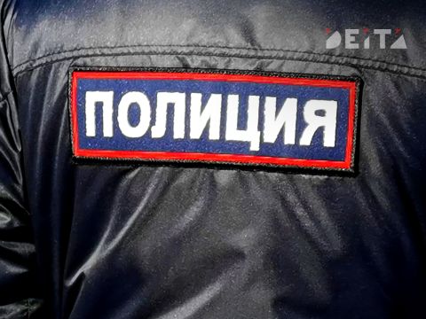 Дебоширкой с Патрокла занялась полиция Владивостока