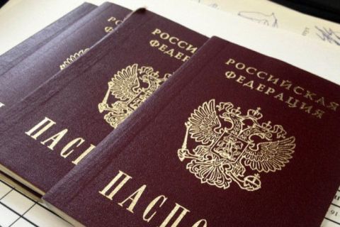 Закон о лишении гражданства РФ теперь включает более 80 оснований – Володин