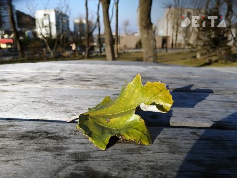 В Приморье похолодает,  но дожди прекратятся
