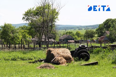 Запретить иметь много скота могут россиянам