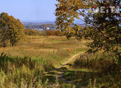 Прокуратура Приморья вернула городу участок, купленный за 12 тысяч рублей при реальной стоимости в 22 миллиона