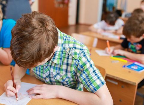 Депутаты хотят еще сильнее упростить школьникам жизнь