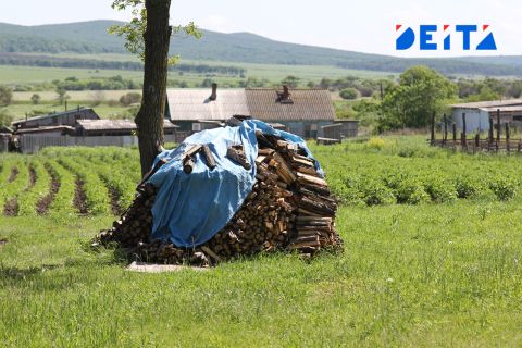 Дольщиков услышат: Госдума даст людям право голоса