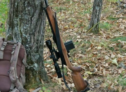 Полиция проверяет сообщения о стрельбе по животным в Артеме