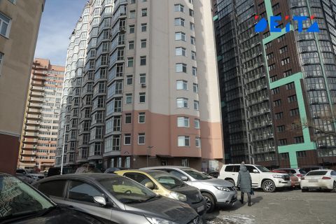 Суд снова встал на защиту горожан и мэрии Владивостока от застройщика леса на "Заре"