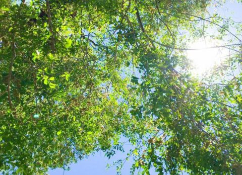 В Приморье распогодится в выходные