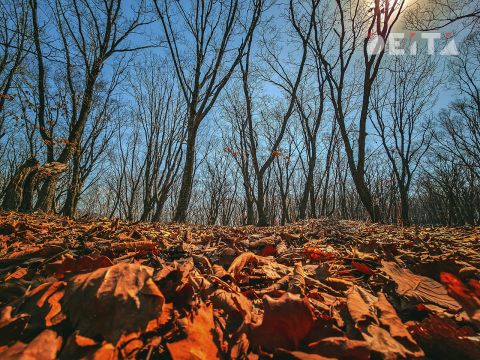 Сентябрь и октябрь будут аномальными: синоптики сказали, к чему готовиться
