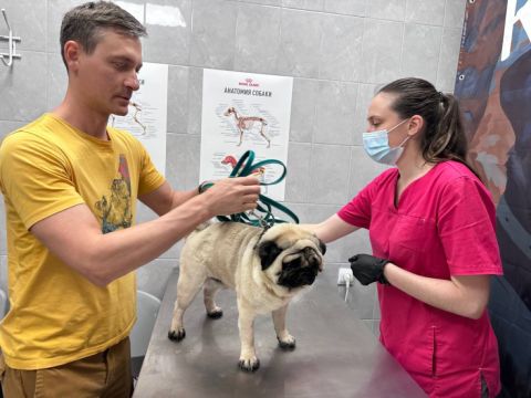 Новое направление: школьники смогут поступить в ветеринарный класс во Владивостоке