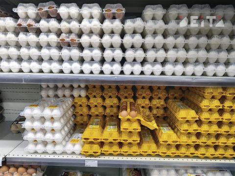 Озвучено, почему дешевеют яйца