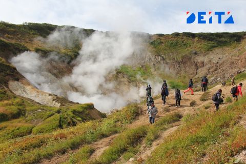 Уголовное дело возбуждено по факту нападения медведя на туристку на Камчатке