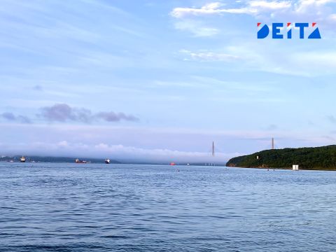 Открытие элитной зоны отдыха на острове Елены сорвала прокуратура Приморского края