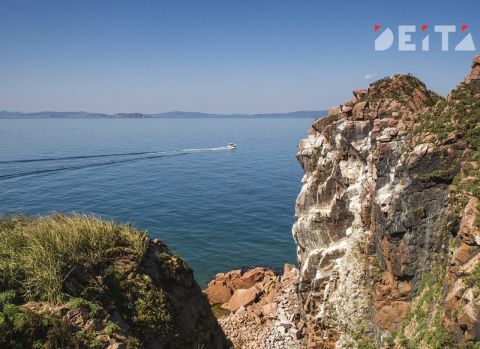 На острове Попова к летнему сезону улучшили связь и мобильный интернет