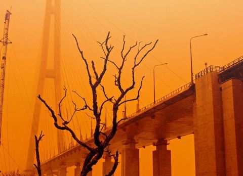 Жара вернётся в Приморье в начале недели