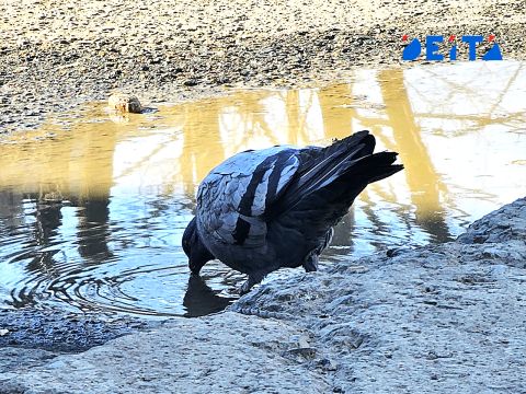 Небольшие дожди оросят сегодня Приморье