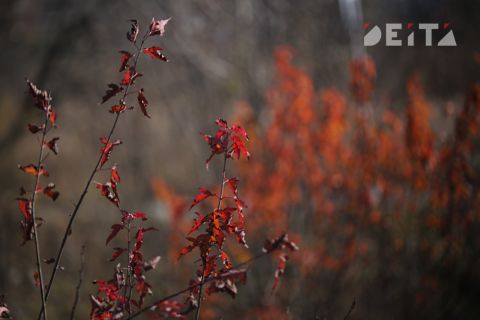 В Приморье ожидается прохладная неделя