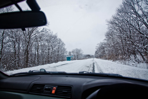 Синоптики рассказали о погоде сегодня в Приморье