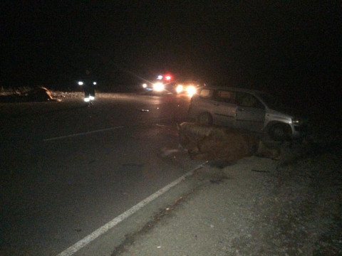 «Только добить»: массовая авария произошла в Приморье