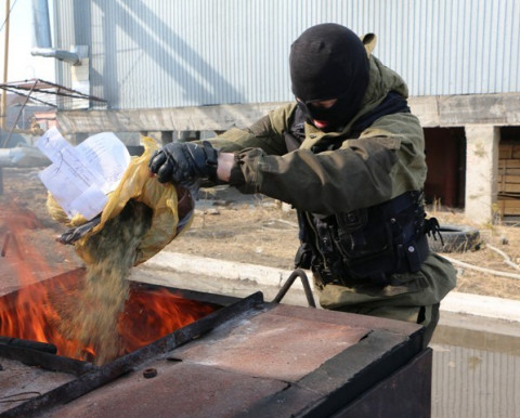 Комнатная империя: сотни килограмм "травы" найдено полицией