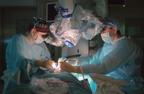 Такого приморские врачи не ожидали увидеть в желудке пациента