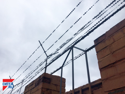 Цветы и автозапчасти - злодейский тандем приморского вора