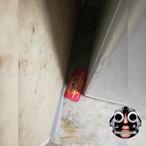 Люди воюют с тараканами в больнице