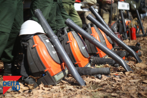 Даже зимой горят приморские леса