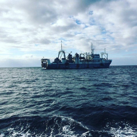 Источник: приморские моряки терпят бедствие в открытом море