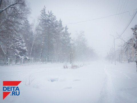 Приморцам рассказали, когда будет снег