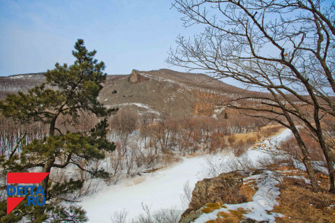 Редкий хищник найден раненым в Приморье