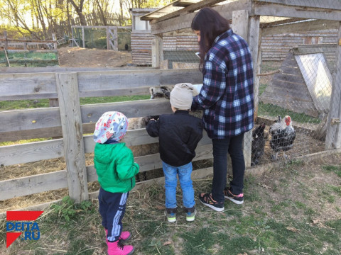 Страшная сказка с хорошим концом: детей вернули родителям