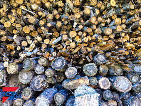 Стало известно, сколько приморцы будут платить за дрова