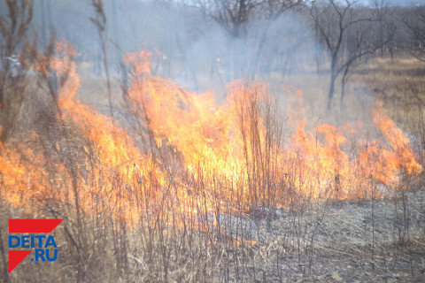 Из девяти два: в Приморье потушены лесные пожары