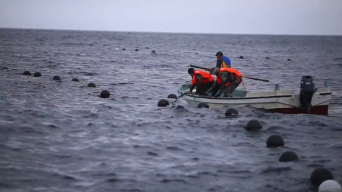 Шхуну с людьми прибило к берегам Японии