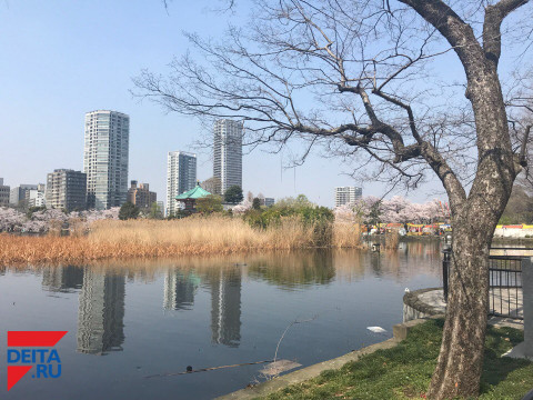 Стало известно об "электронной" войне Японии