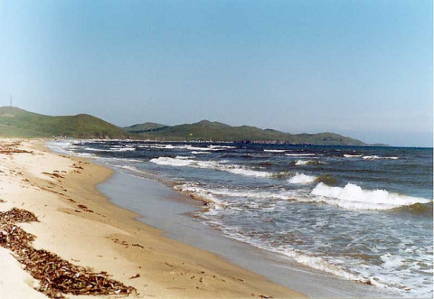 Недоступные берега: приморцев к морю не пускает коррупция