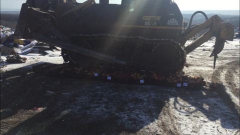 Безжалостно раздавлены сладкие польские яблочки