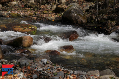 Резидента СПВ подозревают в порче воздуха